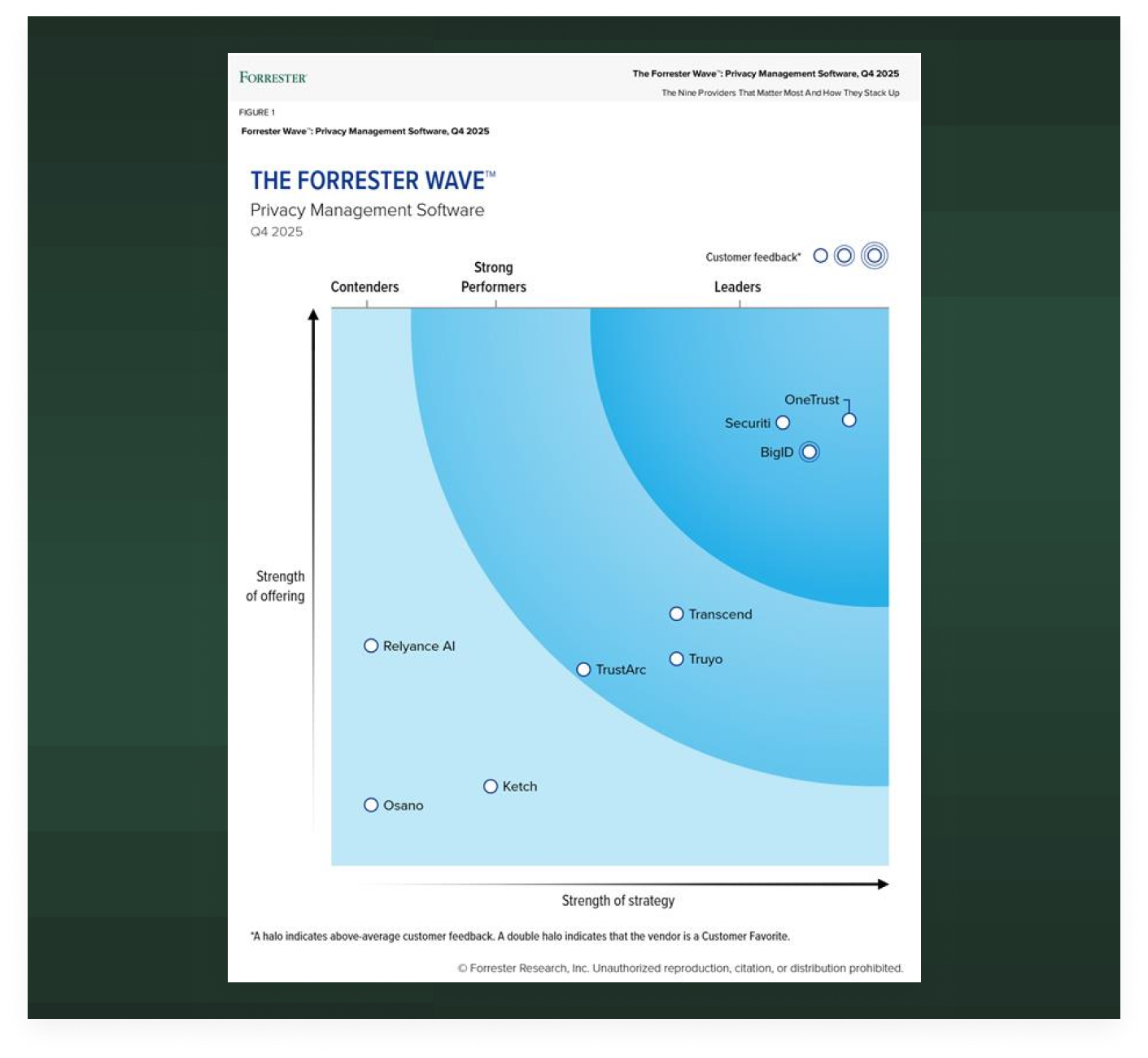 The Forrester Wave for Privacy Management Software graphic