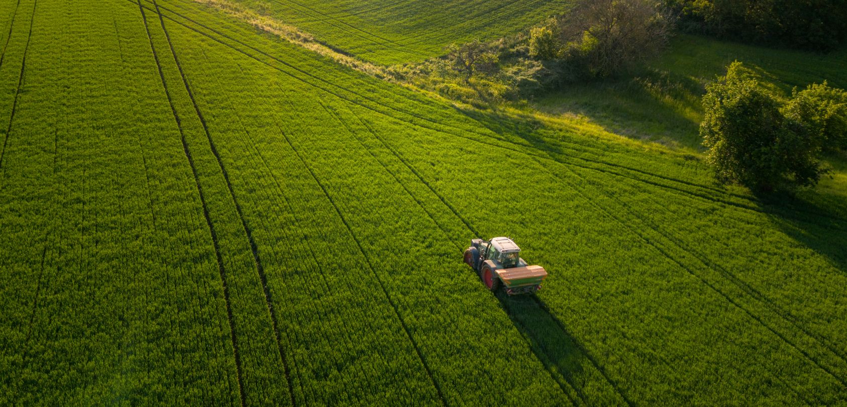 Tractor driving through crops on a farm.,